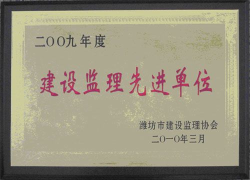 点击查看详细信息<br>标题：2009年度建设监理先进单位 阅读次数：5117