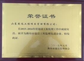 点击查看详细信息<br>标题：2015-2016年度潍坊先进企业荣誉证书 阅读次数：2916