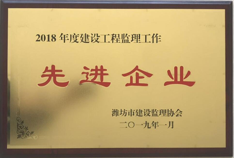 点击查看详细信息<br>标题：2018年度先进监理企业 阅读次数：2628